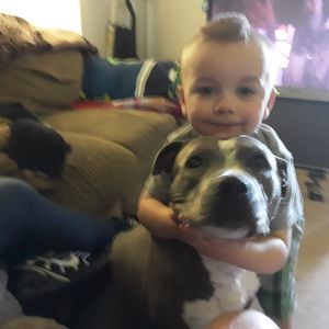 Meet your Posher, William